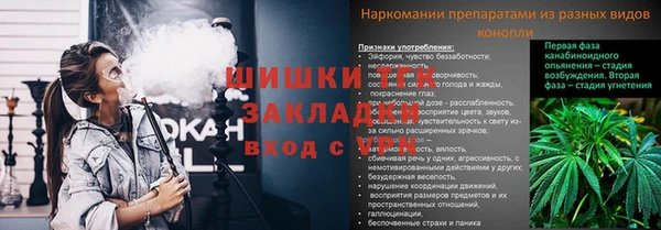 шишки Вязники