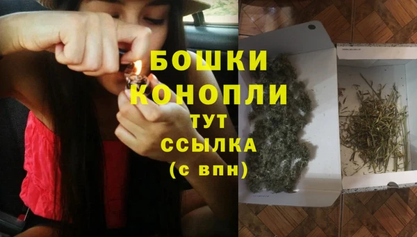 шишки Вязники